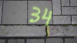 34