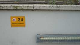 34