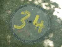 34